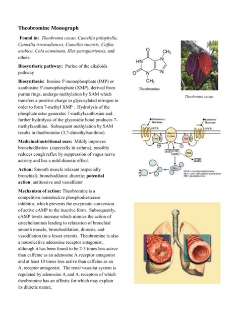 Theobromine: Uses, Interactions, Mechanism of Action.